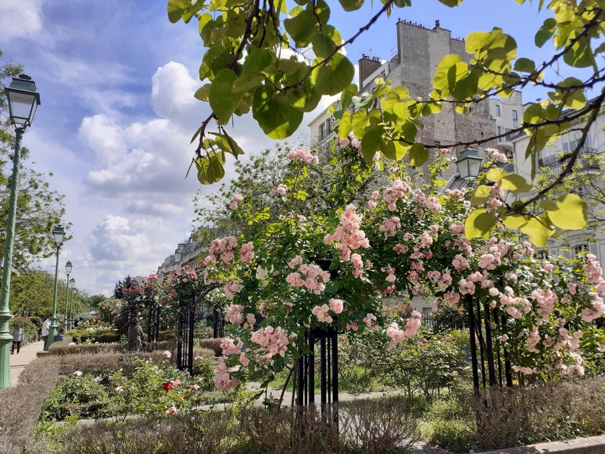 Marie Et Igor Bed and Breakfast Paris Exteriör bild
